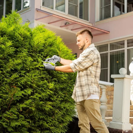 Секатор прямого реза Сибртех, 225 мм, металлические рукоятки, нижняя в ПВХ-оболочке, 604695 купить в Губкинске