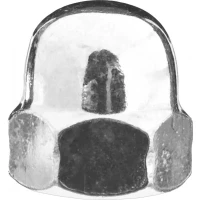 Гайка ЗУБР "МАСТЕР" колпачковая DIN 1587, оцинкованная,  M10, 5кг 303680-10