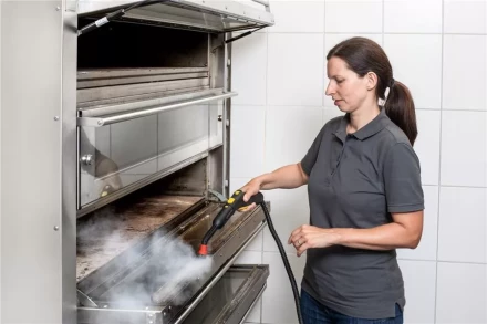 Пароочиститель KARCHER SG 4/4 профи купить в Губкинске