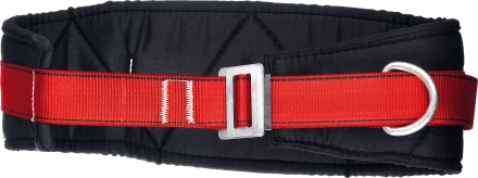 Удерживающая привязь 2 точки крепления серия Без серии 11582 купить в Губкинске