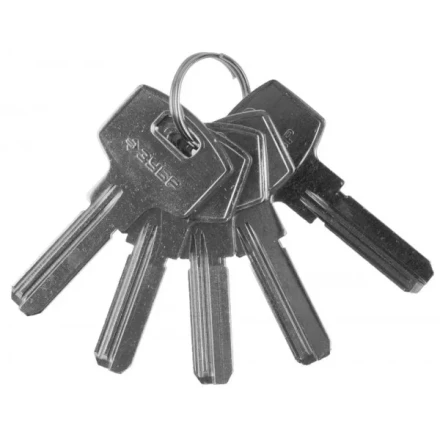 Заготовка ключа ЗУБР &quot;ЭКСПЕРТ&quot; для цилиндровых механизмов, компьютерный тип, 5 шт. 52196_z01 купить в Губкинске