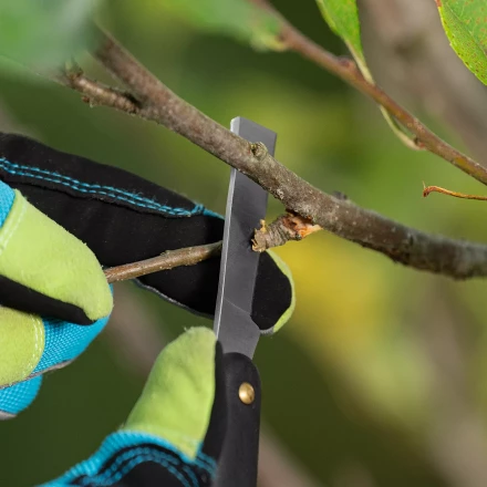 Нож садовый Palisad, 165 мм, складной, копулировочный, пластиковая рукоятка, 790557 купить в Губкинске