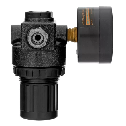 Регулятор давления с манометром Denzel R1500, 12 бар, 1/4&quot;, 57491 купить в Губкинске