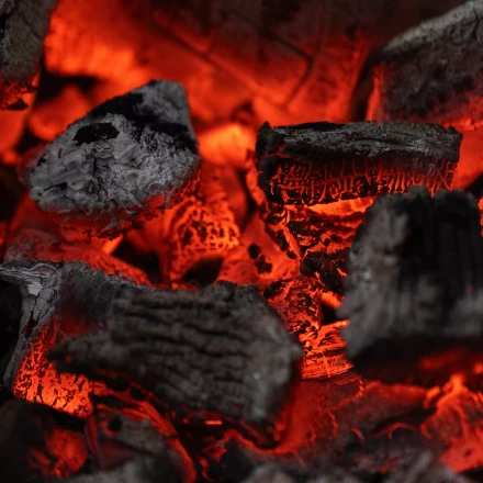 Уголь берёзовый, 5 кг Россия Camping Palisad 69662 купить в Губкинске