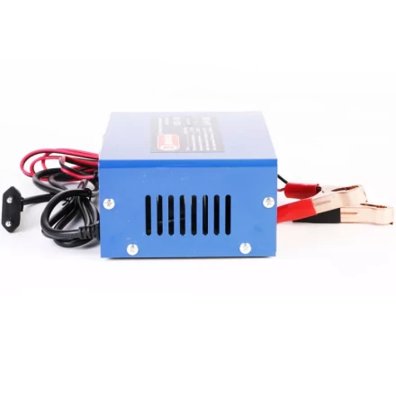 Инверторное зарядное устройство Диолд ИЗУ-10 купить в Губкинске