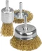STAYER &quot;PROFESSIONAL&quot;. Набор щеток-крацовок для дрели, витая стальная латунированная проволока 0,3мм, диск. 50мм, чаш. 50мм, кистевая 25мм, 3шт 35152-H3_z01 купить в Губкинске