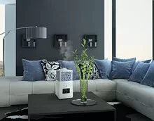 Увлажнитель воздуха ультразвуковой Electrolux EHU-3715D купить в Губкинске
