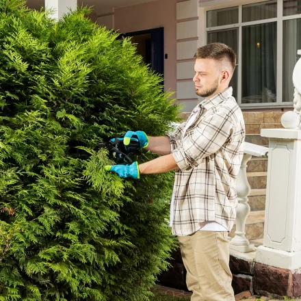 Секатор прямого реза Palisad 215 мм, двухкомпонентные рукоятки, Luxe 604775 купить в Губкинске