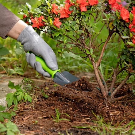 Совок узкий, защитное покрытие, пластиковая рукоятка Palisad 626528 купить в Губкинске