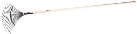 Грабли ЗУБР &amp;quot;ЭКСПЕРТ&amp;quot; веерные из нержавеющей стали, деревянный черенок из ясеня, 16 круглых зубцов, 440х360х1735мм 4-39451_z01 купить в Губкинске