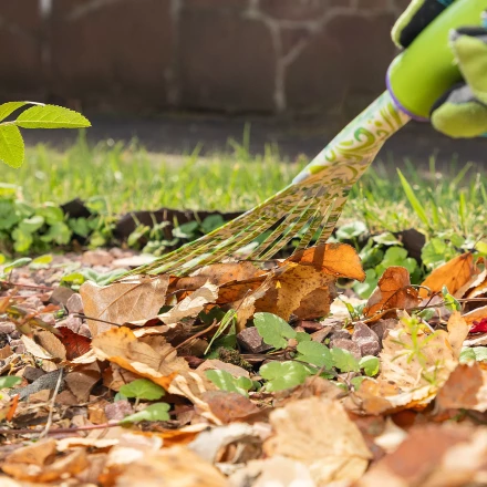 Грабли веерные 9 - зубые Palisad, 130 х 415 мм, стальные, пластиковая рукоятка, Flower Green, 620425 купить в Губкинске