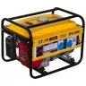 Бензиновый генератор STEM Techno SPG 3000 купить в Губкинске