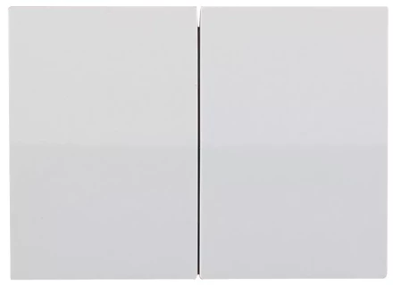 Выключатель СВЕТОЗАР &quot;ЭФФЕКТ&quot; двухклавишный, без вставки и рамки, цвет белый, 10A/~250B SV-54434-W купить в Губкинске