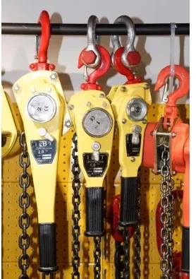 Таль ручная рычажная HSH-C LB г-п 6 тонн H=3 метра купить в Губкинске