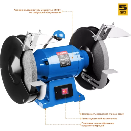 Точило с фонарем ЗТШМЭ-250-750 серия ПРОФЕССИОНАЛ купить в Губкинске