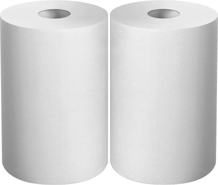 ЗУБР 20 х 25 см, 2-х слойная, в рулоне, 400 листов, 2 рулона, протирочная бумага, Профессионал (12822-20) купить в Губкинске