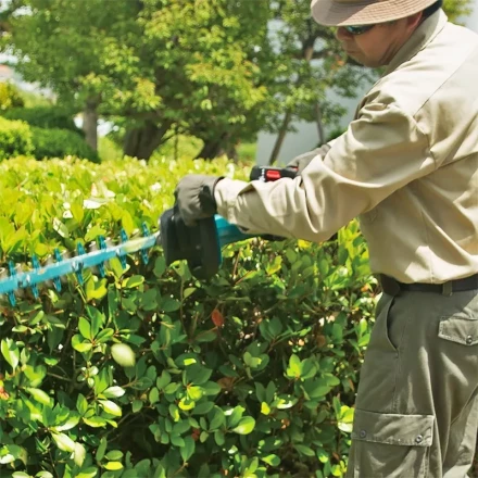 Аккумуляторный кусторез Makita DUH502Z (без АКБ и ЗУ) купить в Губкинске